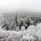 Puderzucker über dem Harzer Winterwald