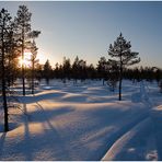 Puderzuckerschnee