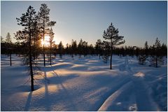 Puderzuckerschnee