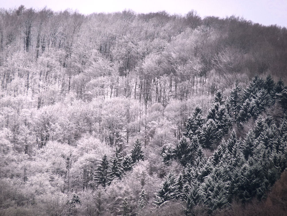 puder.zucker.wald...