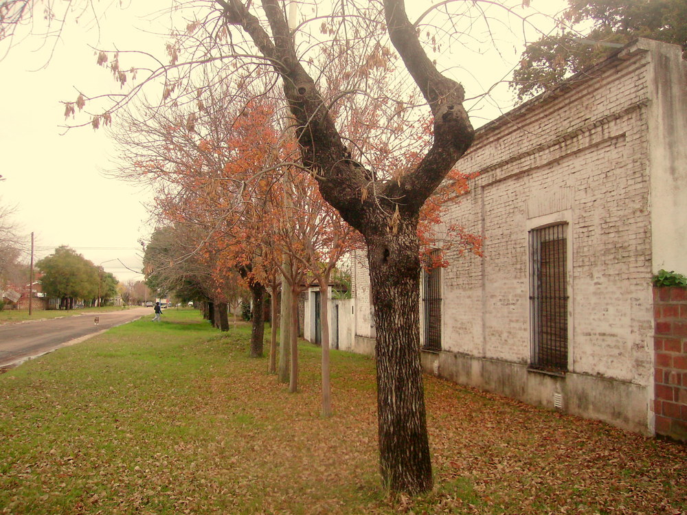 PUEBLO DE CAMPO 2