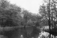 Pückler-Park in Cottbus