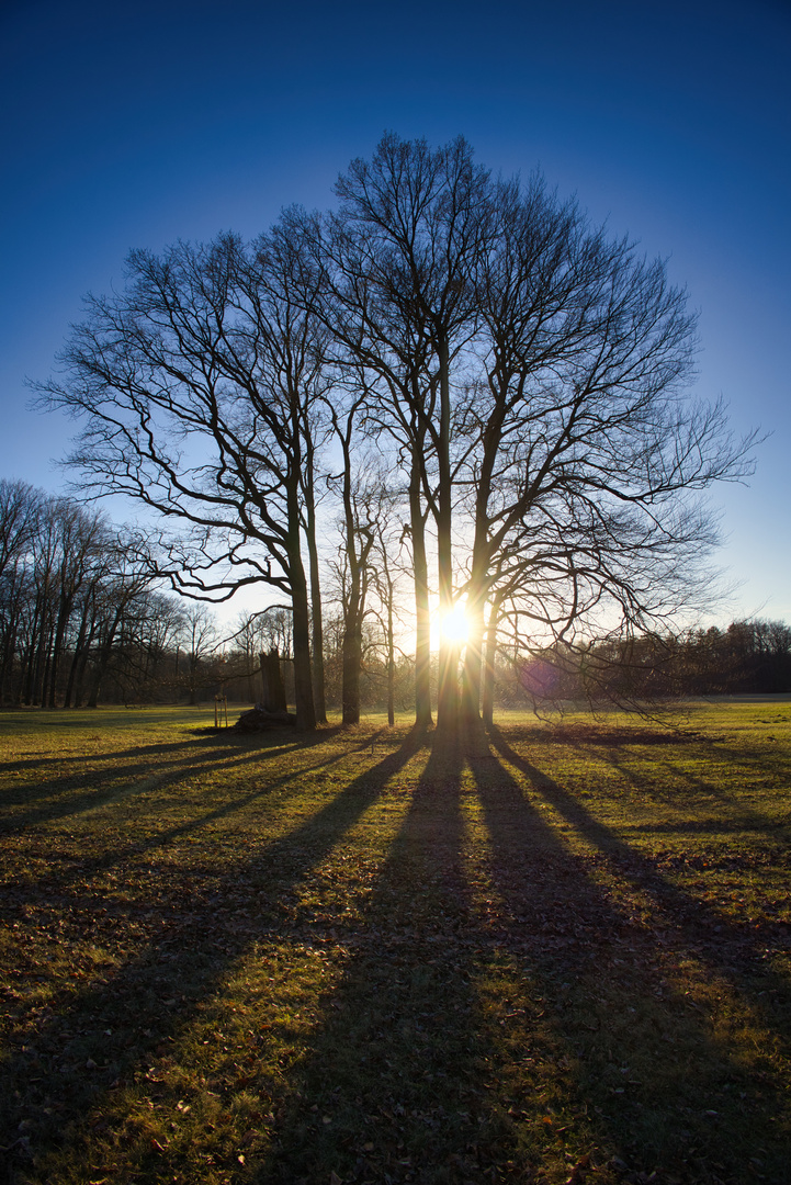 Pücklerpark im Januar 2024