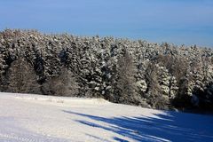 Pünktlich zu Nikolaus fiel der erste Schnee