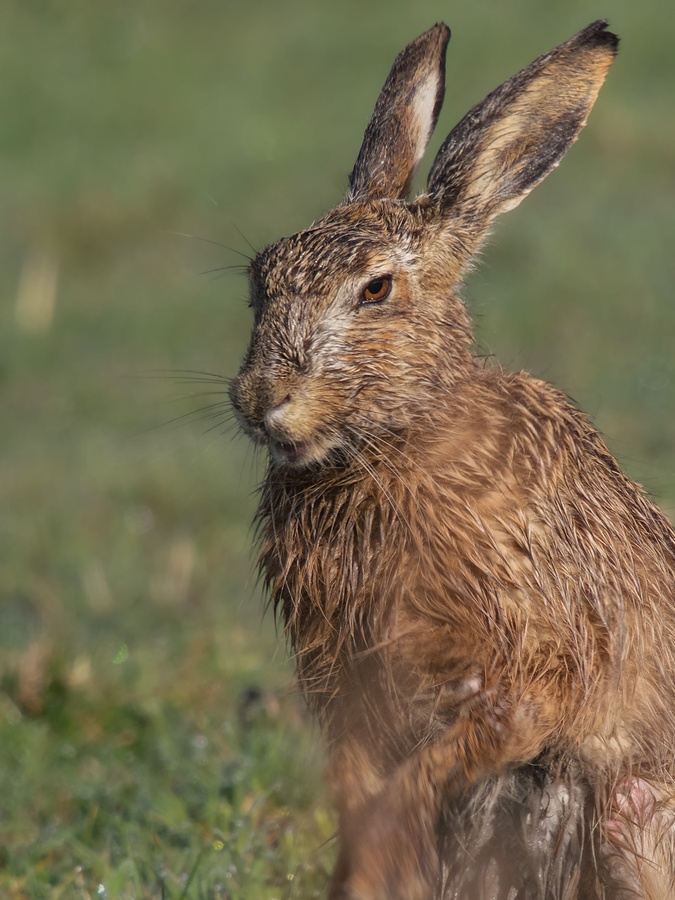 Pünktlich zu Ostern