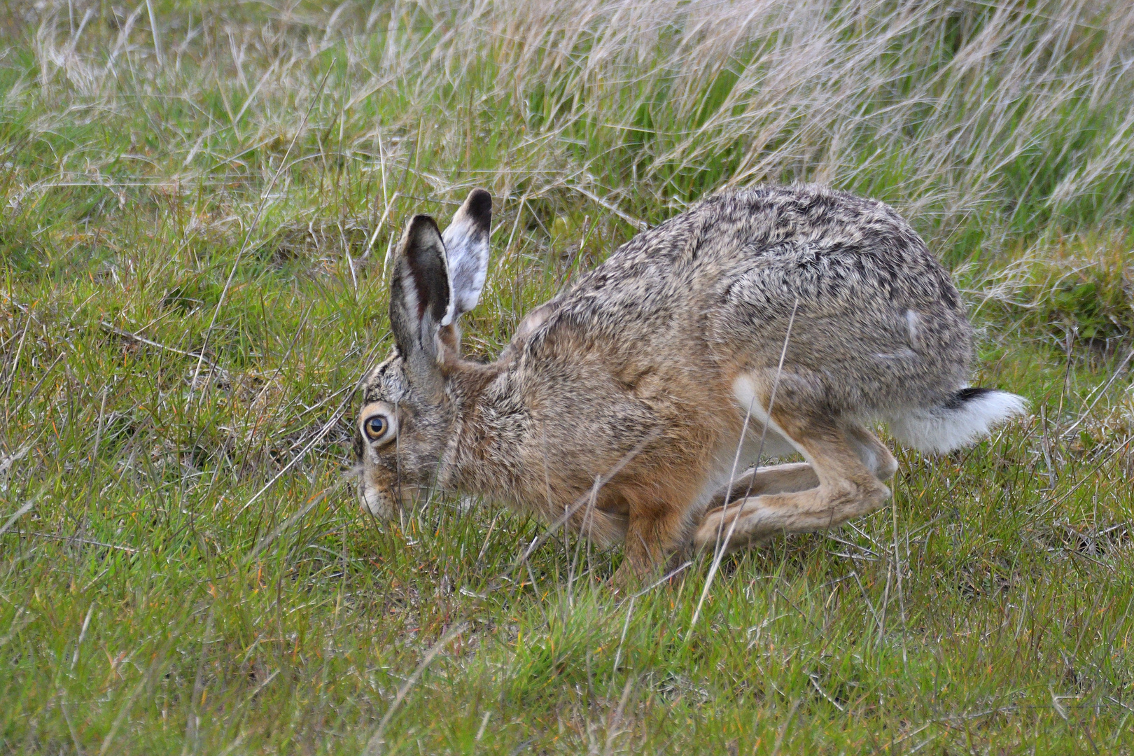 Pünktlich zu Ostern