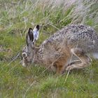 Pünktlich zu Ostern