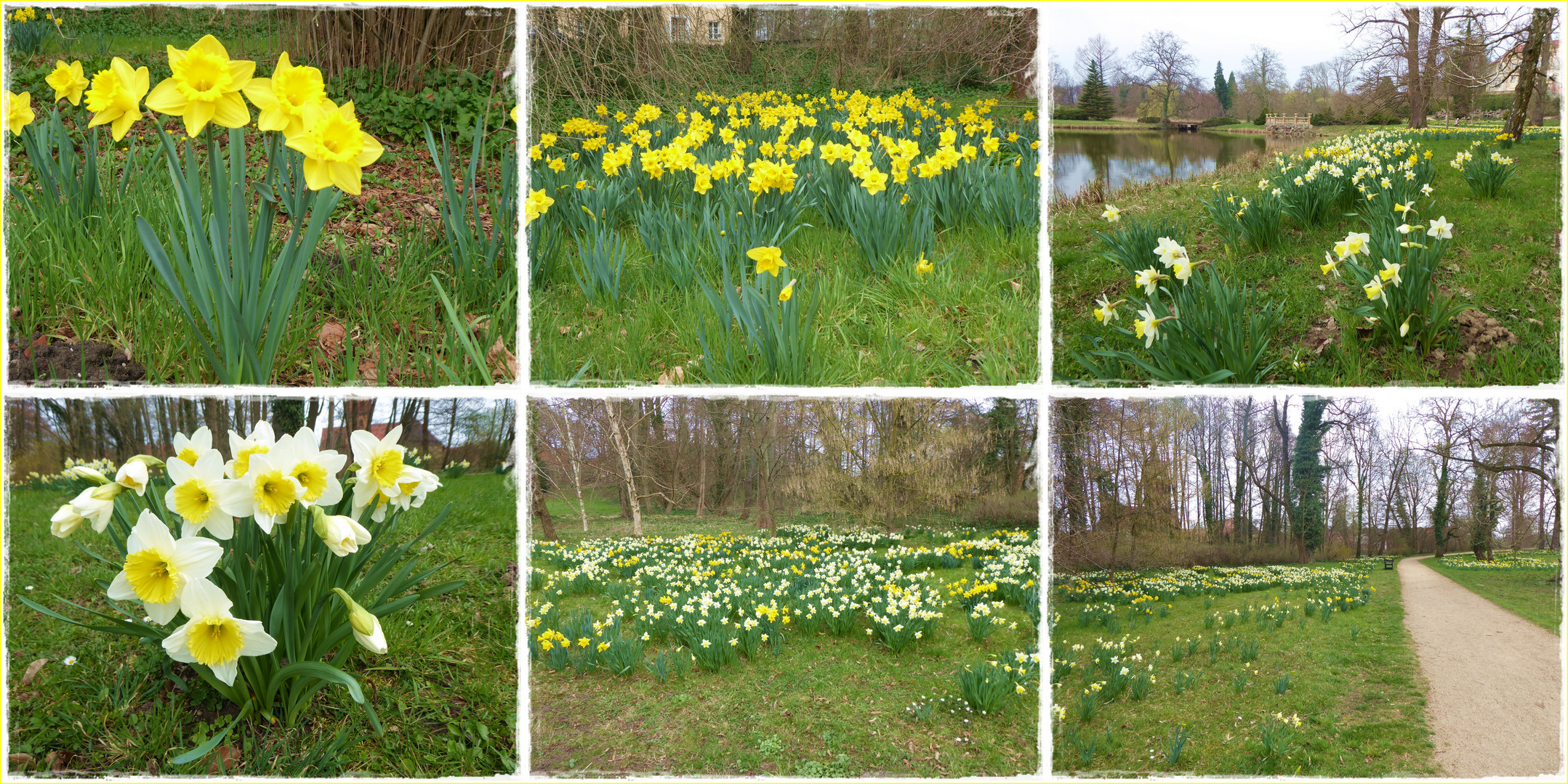 Pünktlich zu Ostern....