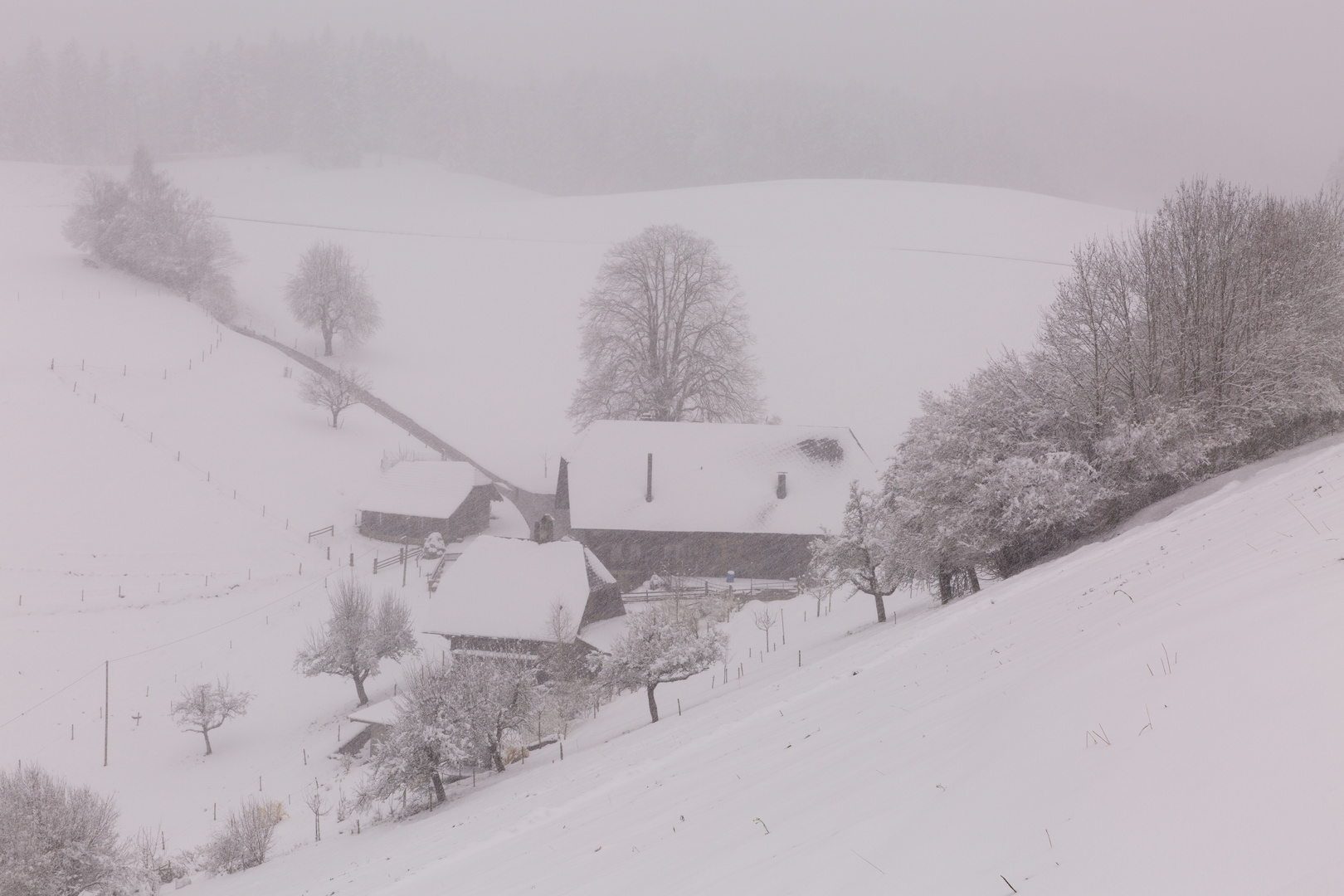 Pünktlich zum 1. April kommt ... der Wintereinbruch (2)