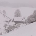 Pünktlich zum 1. April kommt ... der Wintereinbruch (2)