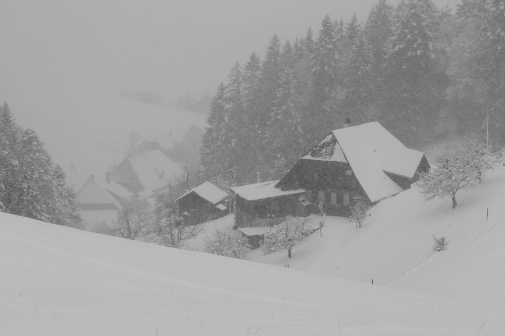 Pünktlich zum 1. April kommt ... der Wintereinbruch (3)