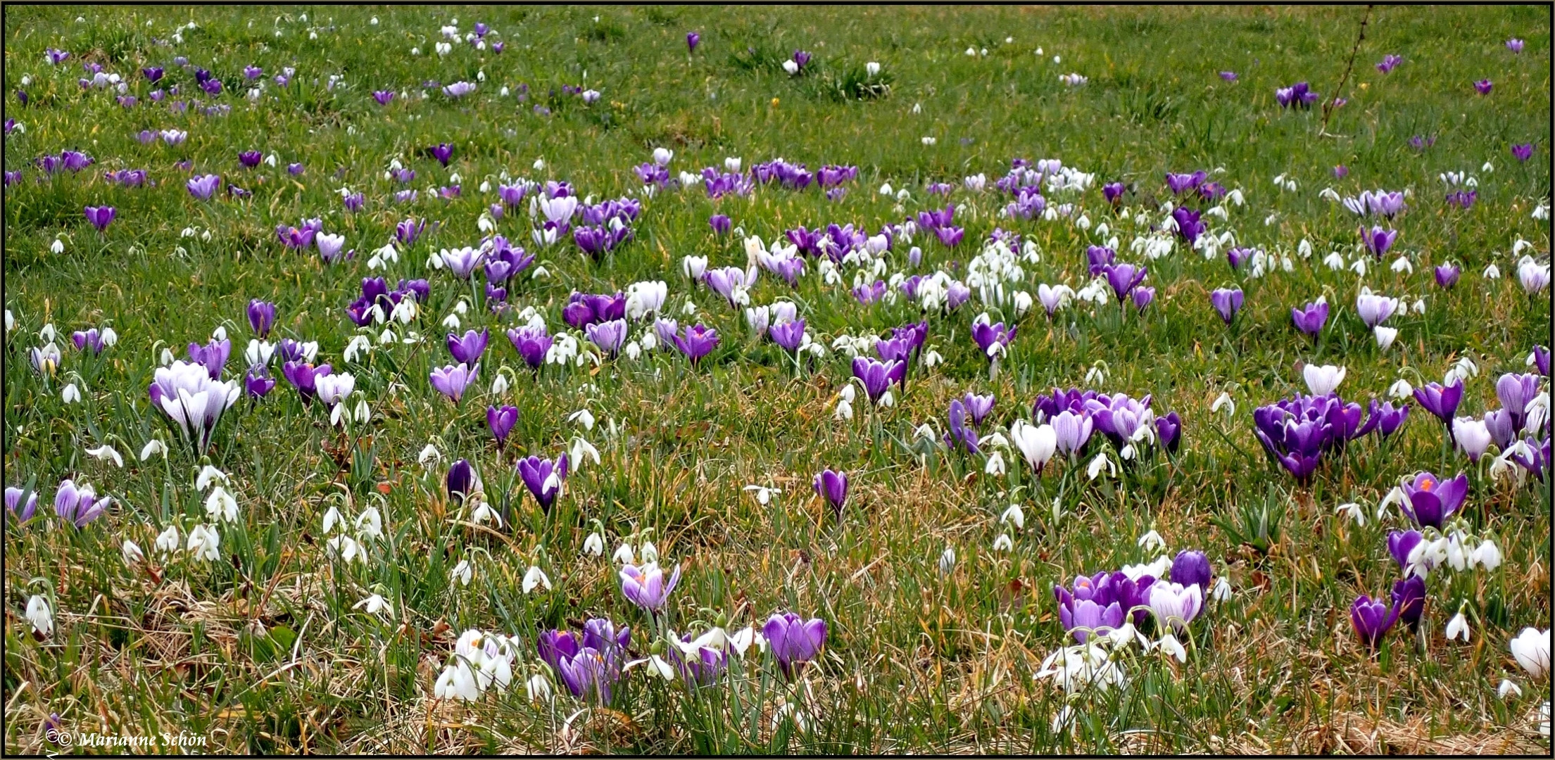 Pünktlich zum Frühlingsanfang...