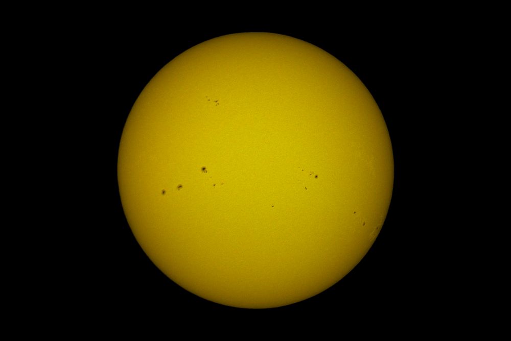 pünktlich zum meteorologischen Frühlingsbeginn...