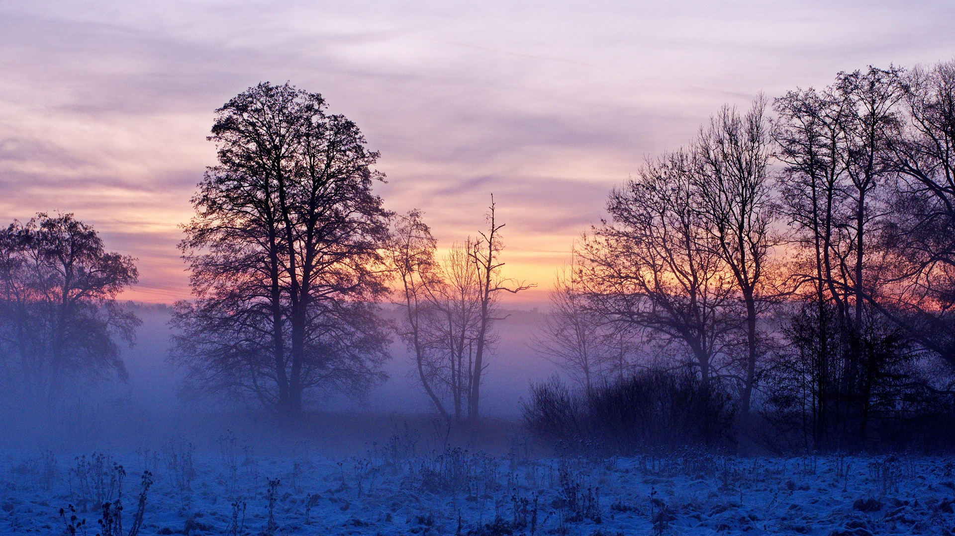 Punktlich Zum Meteorologischen Winteranfang Foto Bild Jahreszeiten Winter Winterzeit Bilder Auf Fotocommunity