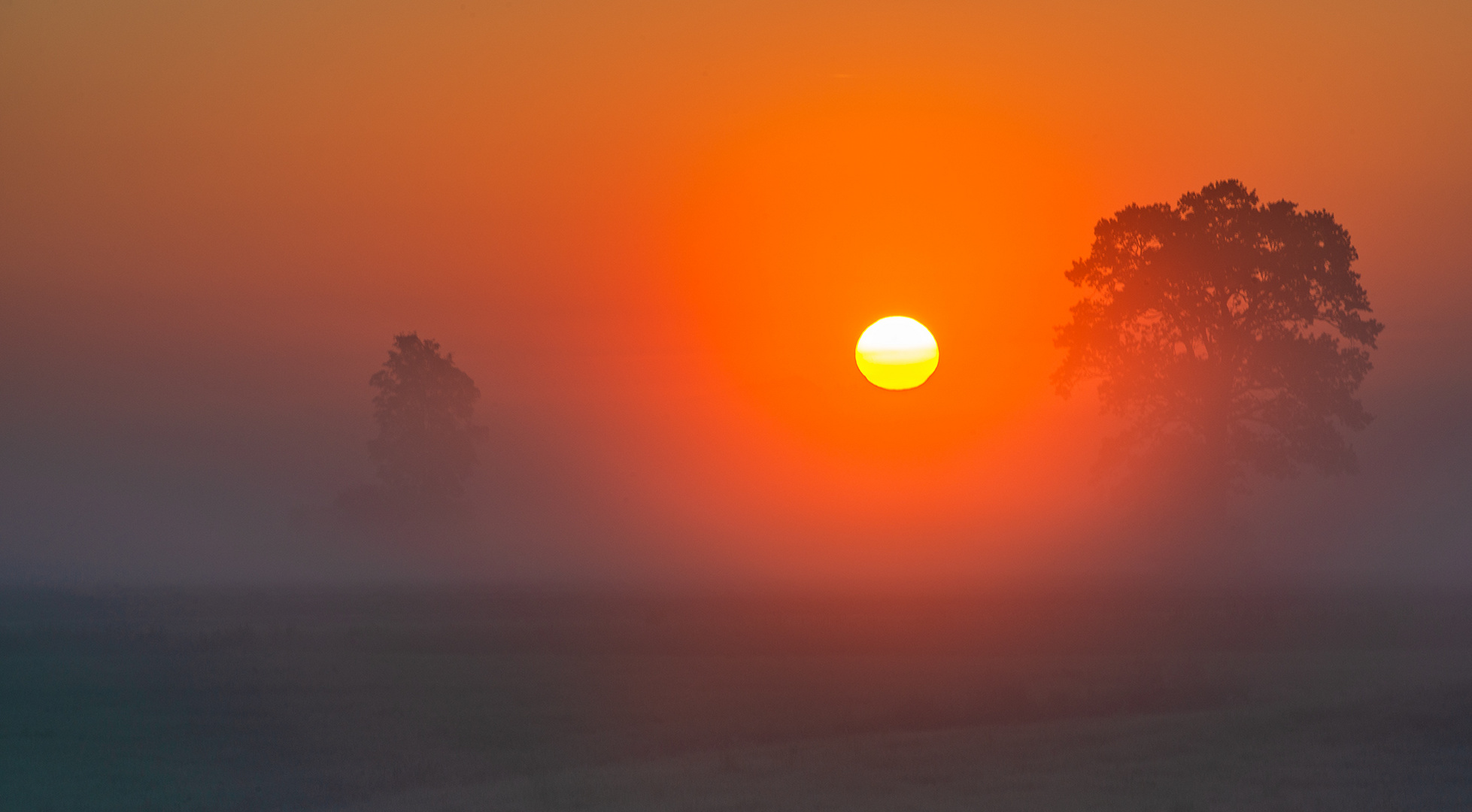 pünktlich zum Sommer