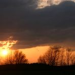 pünktlich zur sommerzeit