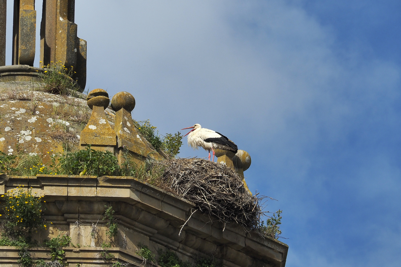 Puenta la Reina Storchennest