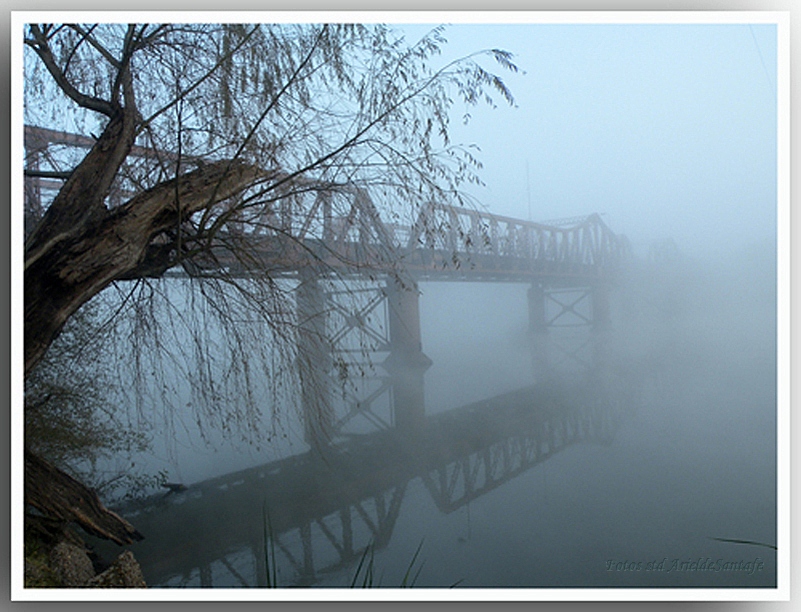 puente a la niebla