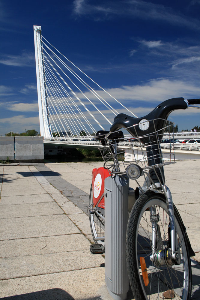 puente alamillo y bicicleta