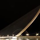 Puente Assut de l'Or (2)