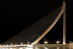 Puente Assut de l'Or (2)