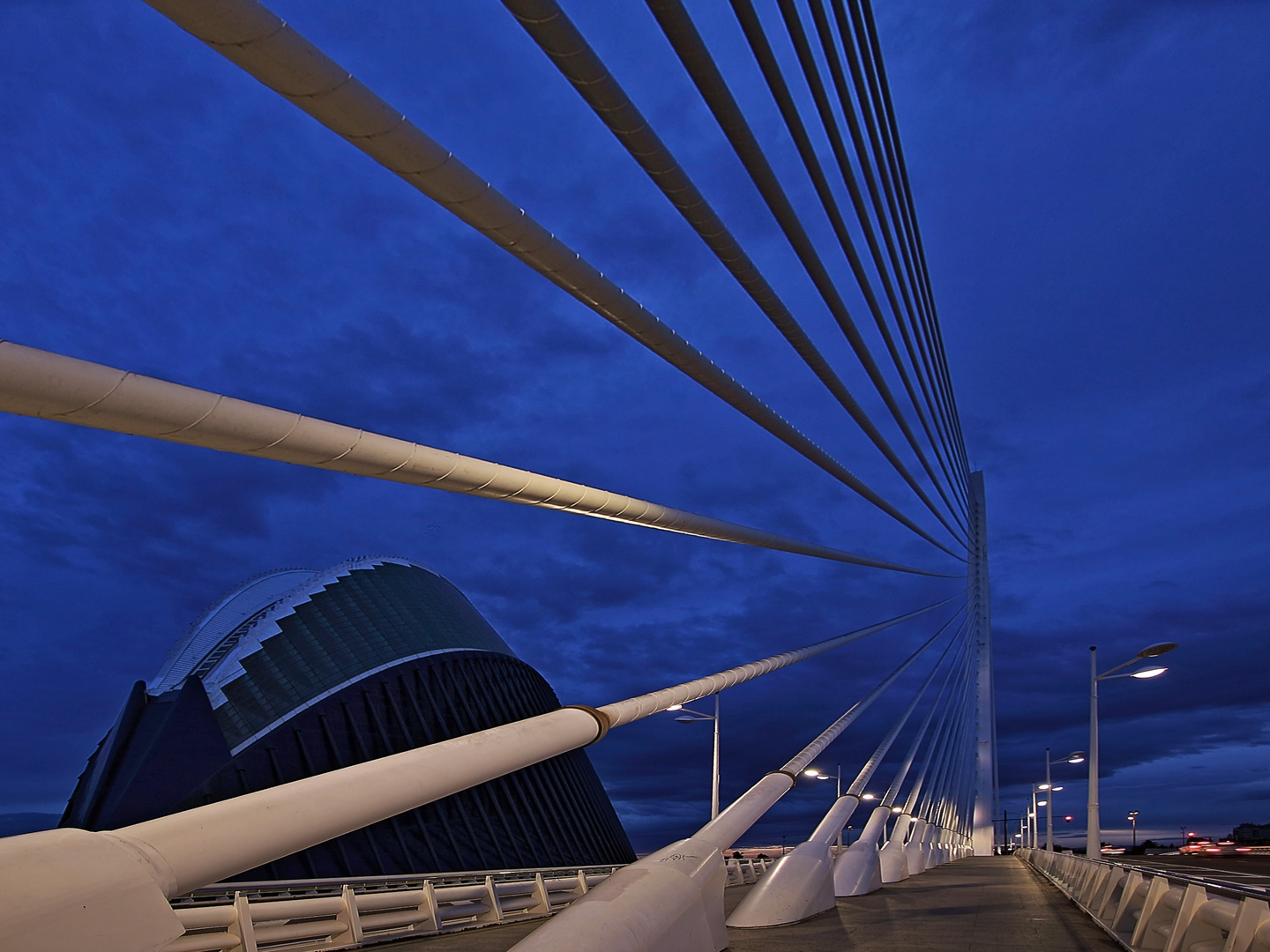 Puente Assut de l'Or  y Agora