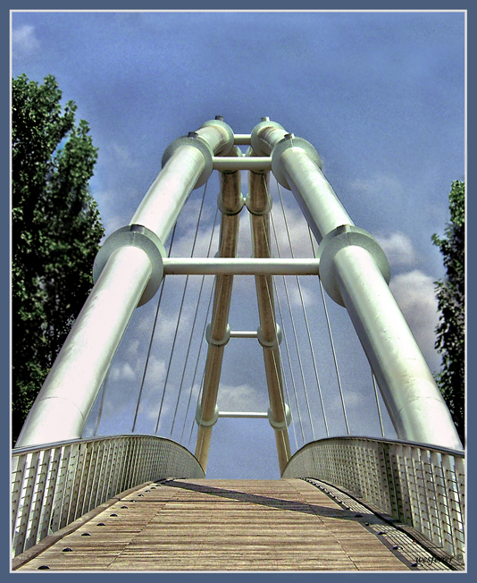Puente Bioparc (Valencia)