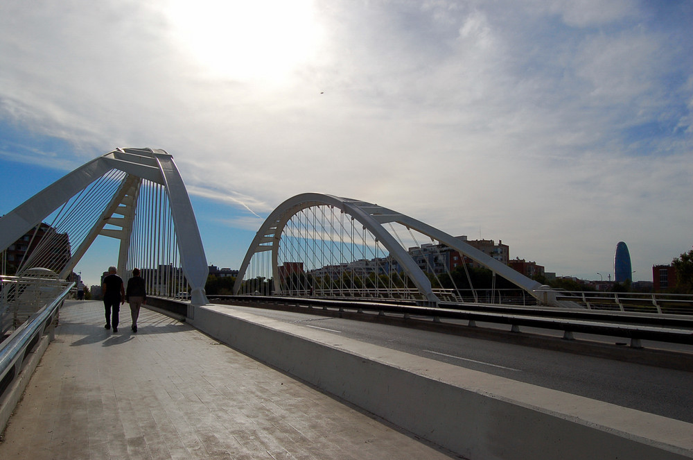 Puente Calatrava (Barcelona)