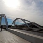 Puente Calatrava (Barcelona)