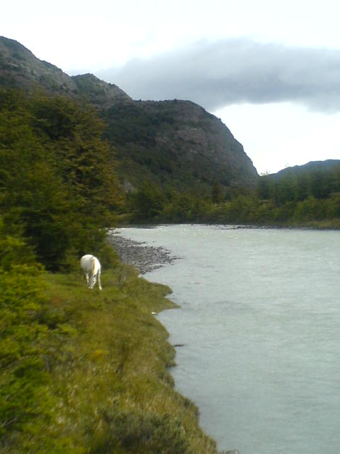 Puente Camino al Grey