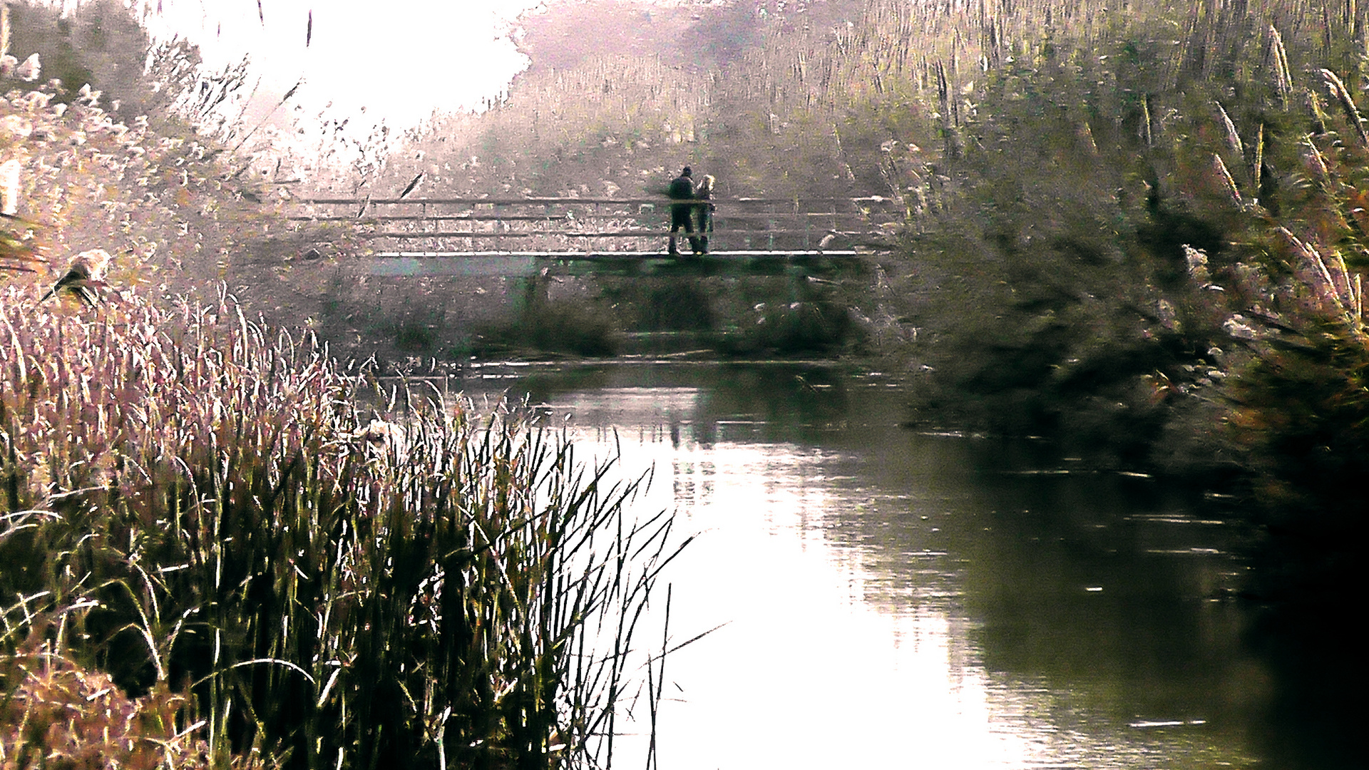 Puente colgante:)