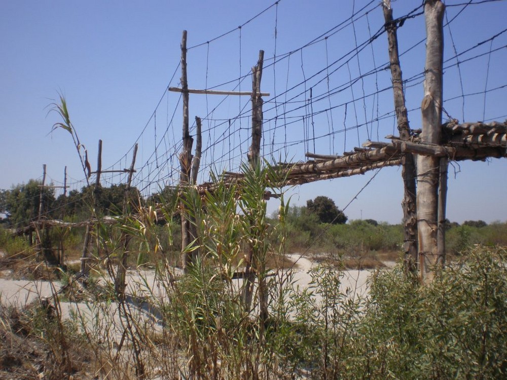 Puente colgante