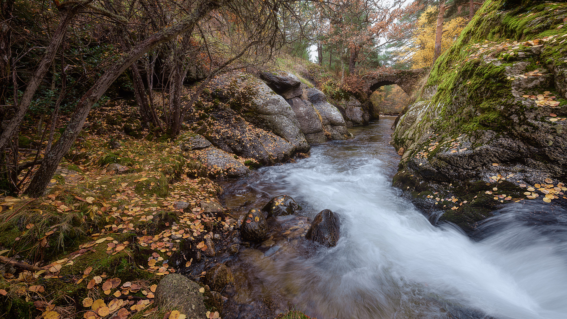 Puente de la Angostura-Sierra de Madrid