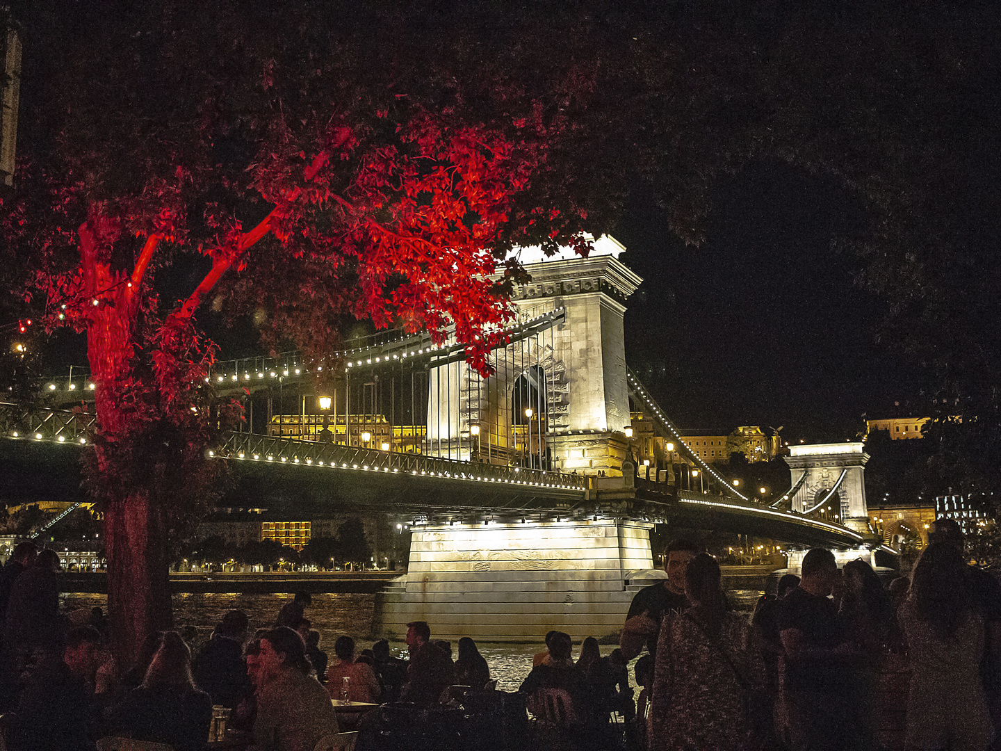 Puente de las Cadenas - Budapest