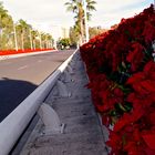 Puente de Las Flores