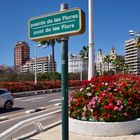 Puente de las Flores