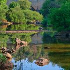 PUENTE DE LOS ARENALES