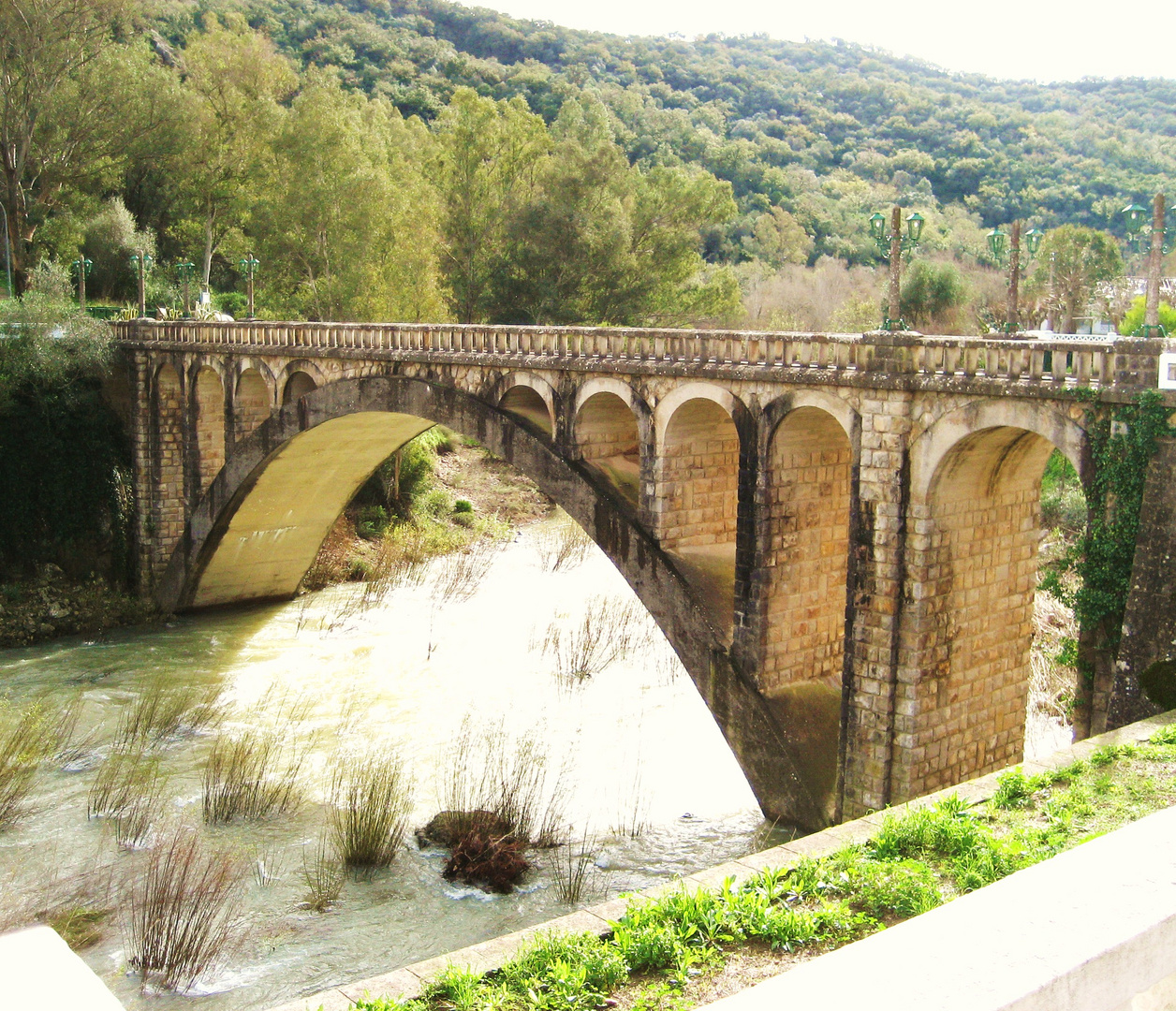 puente de los HURONES