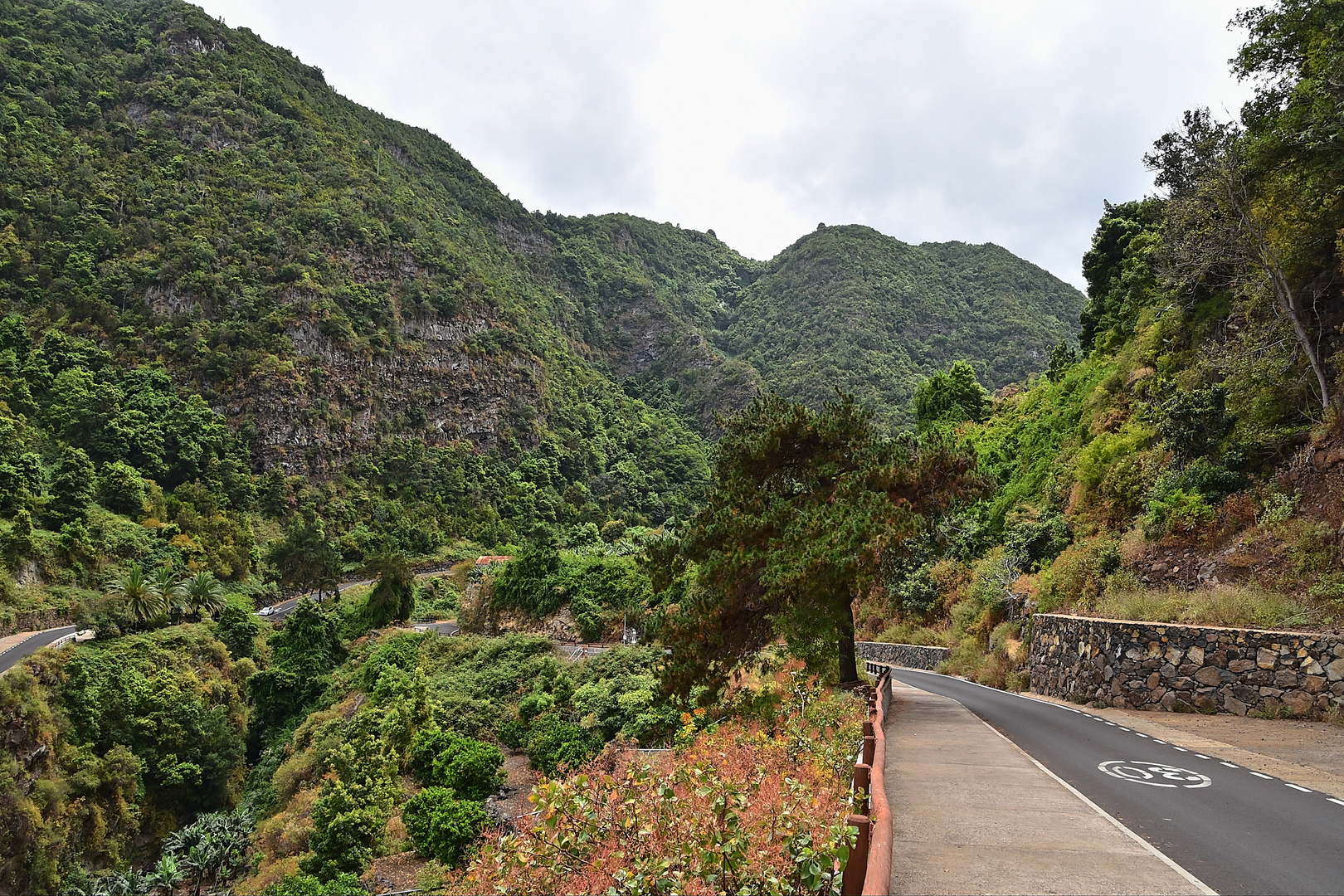 Puente de Los Tilos