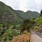 Puente de Los Tilos