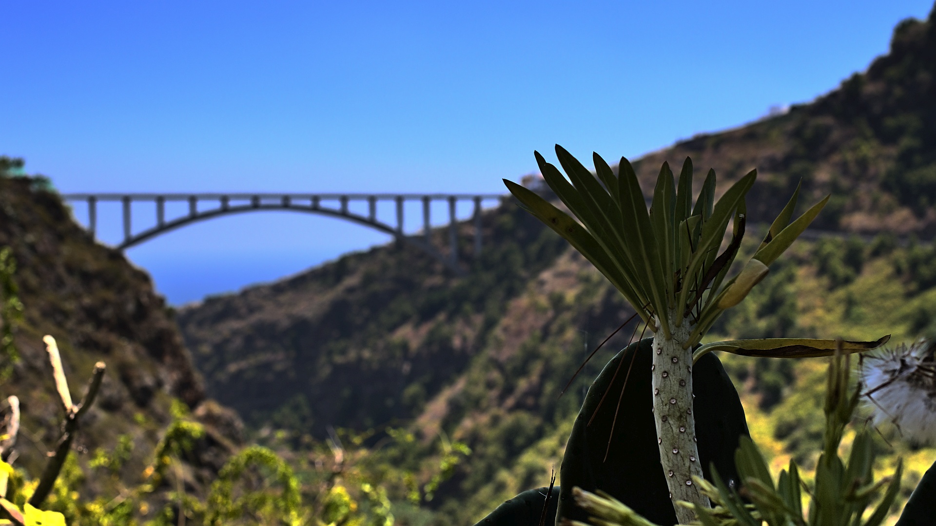 Puente de Los Tilos, La Palma