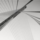 puente de los tirantes.Pontevedra