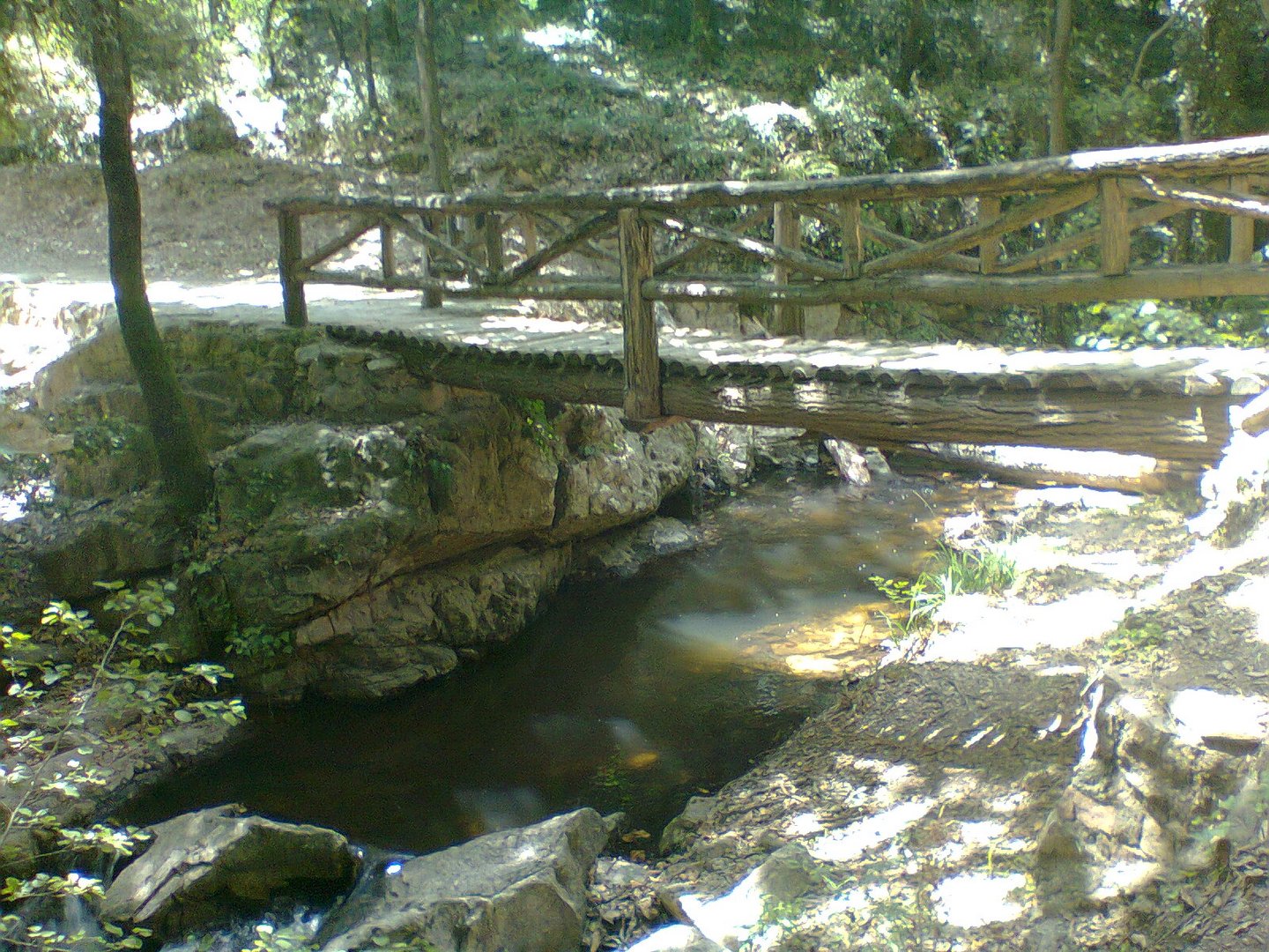 puente de madera en gualba