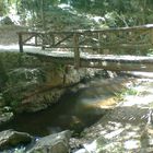 puente de madera en gualba