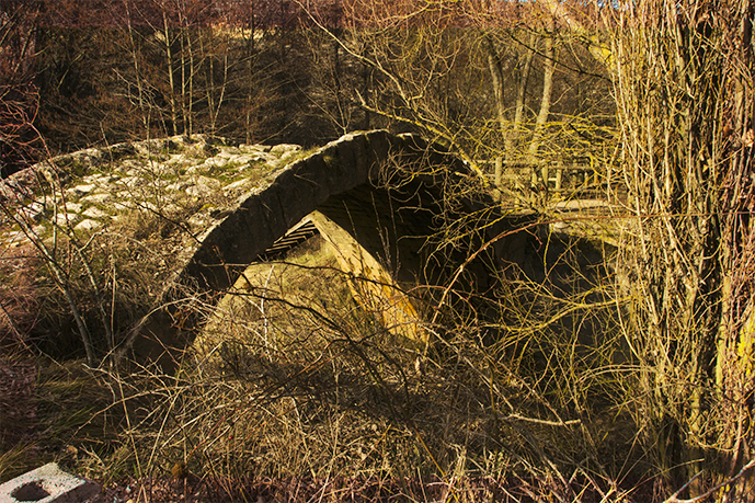 Puente de Talcano Imagen & Foto | paisajes, bosques, naturaleza Fotos