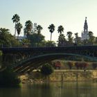 Puente de Triana Sevilla