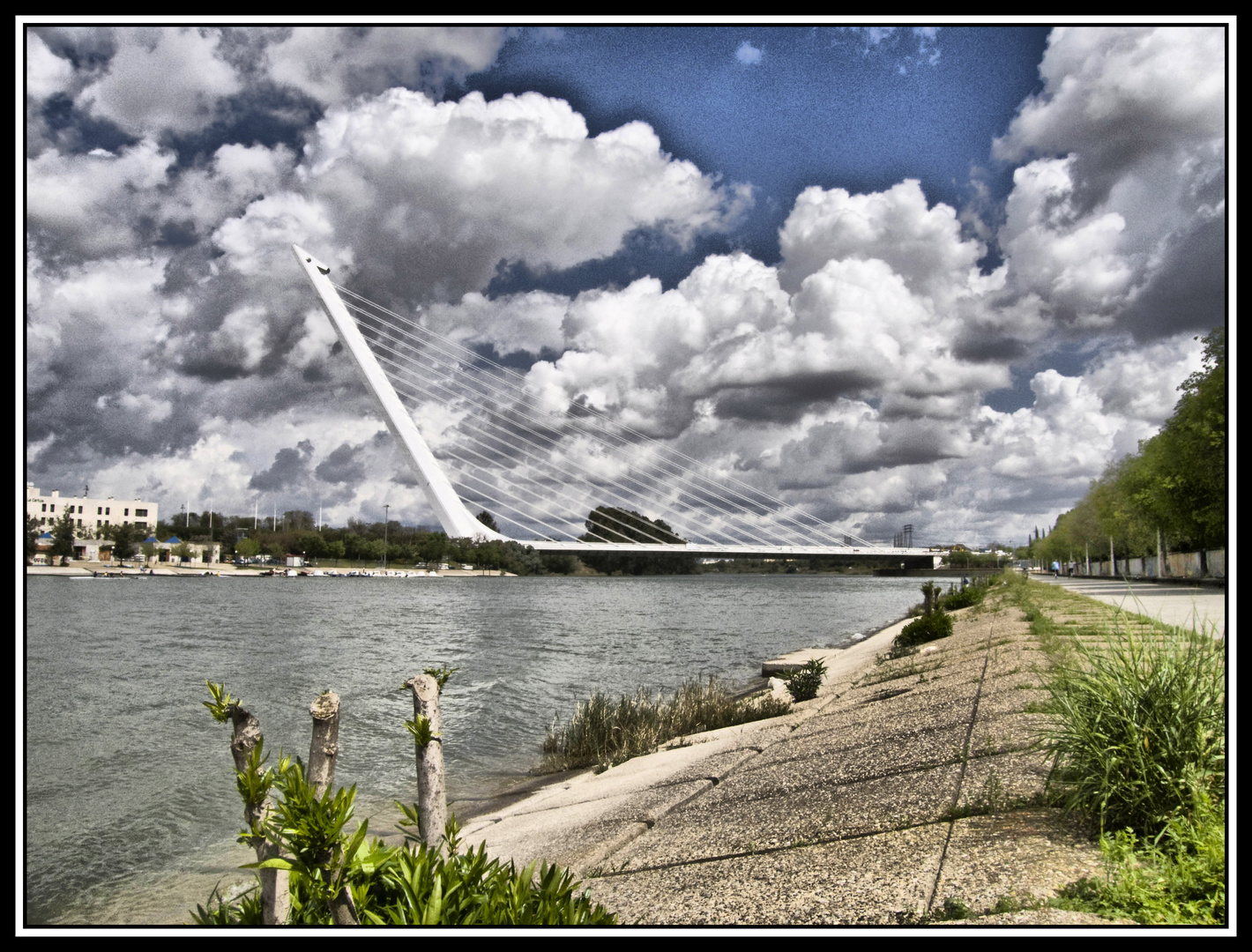 Puente del Alamillo