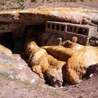 PUENTE DEL INCA