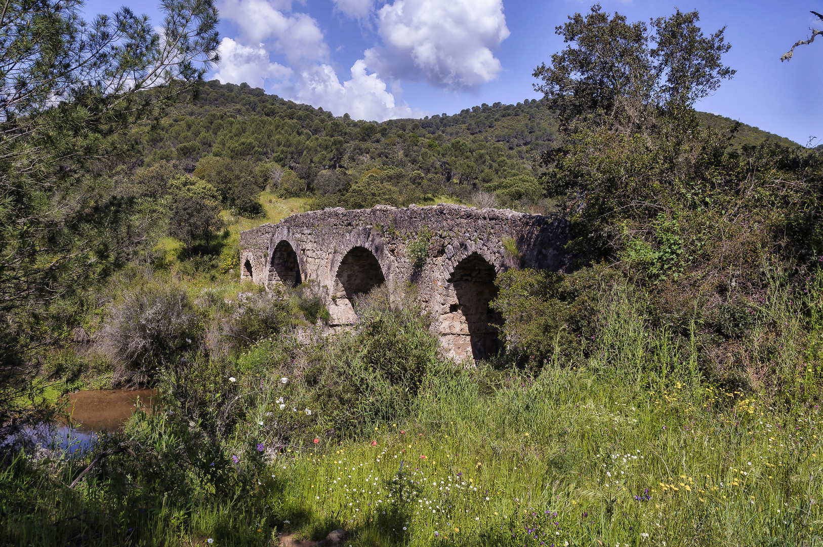 PUENTE DEL RÍO GUADALNUÑO EN PRIMAVERA