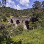 PUENTE DEL RÍO GUADALNUÑO EN PRIMAVERA